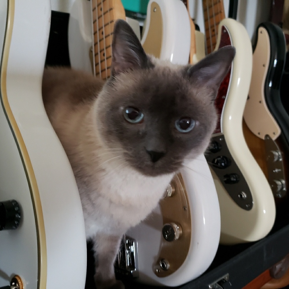 Meet your Posher, Gary